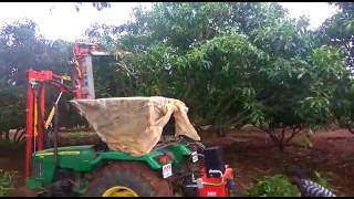 Mango Tree Pruner Demonstration at KVK Gadag [upl. by Mollie]