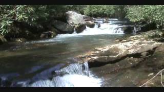 Thompson River NC Trout Fishing [upl. by Weiler]