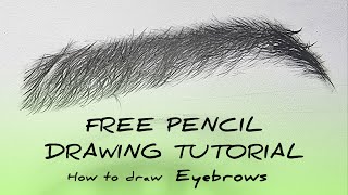 Free Pencil Drawing Tutorial How to Draw a Realistic Eyebrow with Simple Tools [upl. by Kalil]