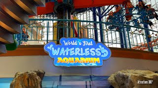 Worlds First Waterless Aquarium  Unique No Water Aquarium Attraction [upl. by Akeimat]