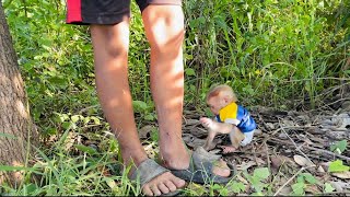 Baby mnkey Lux raise hand up askinq to his brother take him to go home [upl. by Jeanna]