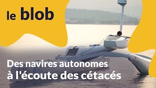 Mission Sphyrna Odyssey 2019  des navires autonomes à lécoute des cétacés  Actu de science [upl. by Bealle]