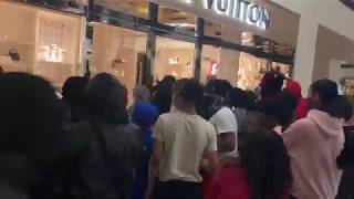 Portland Riots 2020  Louis Vuitton Store Looted [upl. by Adna]