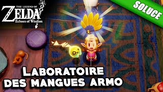 Laboratoire des mangues armo  Éventail dor Solution  The Legend of Zelda Echoes of Wisdom [upl. by Niknar]