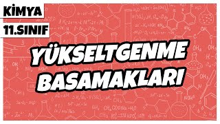 11 Sınıf Kimya  Yükseltgenme Basamakları  2022 [upl. by Tawney381]