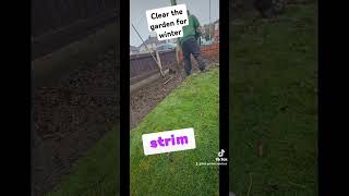 Im a garden waste disposal expertthis is how I do it garden nature gardenlife gardening rain [upl. by Eanom]