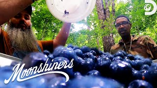 Making Blueberry Lemonade Alcohol  Moonshiners  Discovery [upl. by Asseniv]