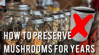 How To Preserve Mushrooms For Years [upl. by Ammeg]