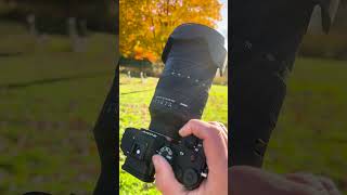 This Sigma Lens is a GAME CHANGER for Photography [upl. by Rosati]