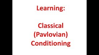 Learning Classical Pavlovian Conditioning [upl. by Leventis]