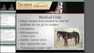 Colic Diagnosis Treatment and Prevention [upl. by Oicinoid]