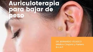 PUNTOS DE AURICULOTERAPIA PARA BAJAR DE PESO [upl. by Haisa]