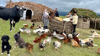 Creating Traditional Local Cheese Baking Bread And Cooking Fried Chicken [upl. by Nyletac]