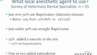 Anesthetic Agents and Regional Nerve Blocks in Veterinary Dentistry [upl. by Alejoa]