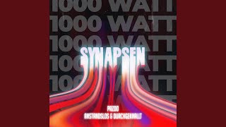 Synapsen 1000 Watt [upl. by Mandle]