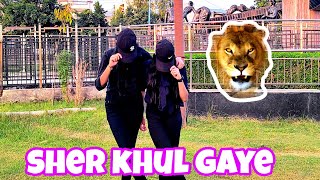 SHER KHUL GAYE  DANCE COVER BY SIDDHI AND PARIDHI  FIGHTER MOVIE ✓ [upl. by Bethany]