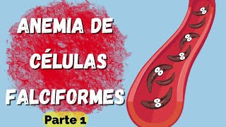 Anemia de Células Falciformes  Parte 1  Fisiopatología [upl. by Ramuk770]