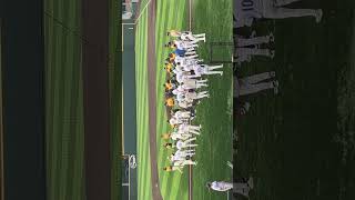 Lexington Legends Vs Charleston Dirty Birds benches clear [upl. by Ynafetse706]