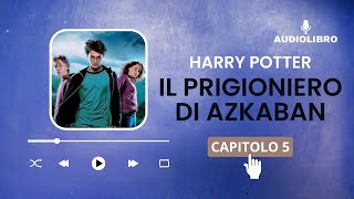 5 Harry Potter e IL PRIGIONIERO DI AZKABAN volume 3 Audiolibro  IL DISSENNATORE [upl. by Domash69]