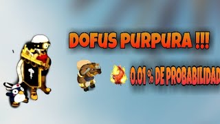 DOFUS PURPURA   GUÍA DE COMO CONSEGUIRLO  DOFUS TOUCH [upl. by Aissenav]