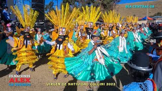 FESTIVIDAD EN HONOR A LA NATIVIDAD DE LA VIRGEN MARÍA CP COLLINI POMATA 2023 [upl. by Fax559]