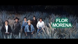 Los Felinos  Flor Morena Letra Oficial [upl. by Sesilu]