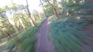 Downhill Mountain Biking  Lions Trail Steyning West Sussex [upl. by Alfeus]