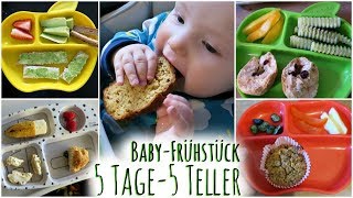 5 Ideen zum Frühstück für Babys  BLW Inspiration  Breifrei [upl. by Mccandless800]