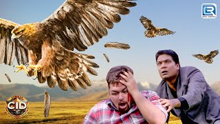 CID पे किया Ferocious Bird ने Attack  CID  Latest Full Episode [upl. by Shapiro]