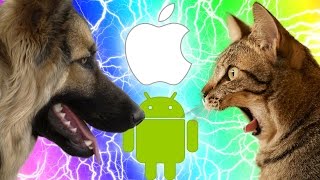 CHAT VS CHIEN  Jeu mobile WTF [upl. by Boehike]