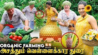 🙏 தமிழர்களின் பாரம்பரிய விவசாயத்தை மீட்க துடிக்கும் Krishna McKenzie  Auroville Organic Farming [upl. by Bilac]