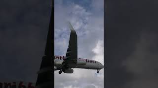 Caribbean airlines 737 arrIving SXM [upl. by Aniehs]