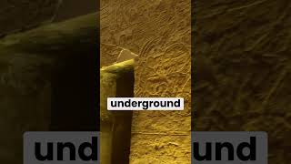 Lost Labyrinth of ancient egypt history ancientegypt egypt ancienthistory [upl. by Imugem]