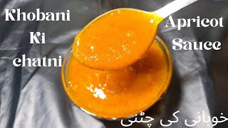 khobani ki chatni  خوبانی کی چٹھنی بنانے کا طریقہ  Apricot Sauce  Easy Recipe [upl. by Hairakcaz]