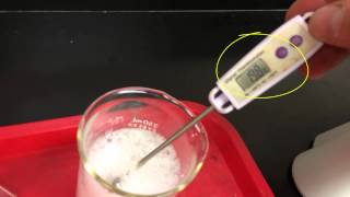 exothermic and endothermic reaction demonstrations [upl. by Gregor]