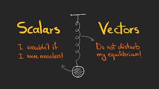 How to quantify our world Scalars and Vectors  4 examples in physical laws [upl. by Niamrahc308]