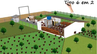 Projetos e planejamento de PIQUETES na criação de GALINHAS [upl. by Yahiya879]