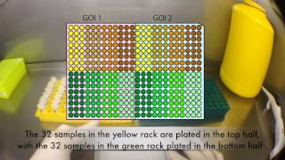 Setting up a 384 Well qRTPCR Assay for the ViiA7™ using Viaflo Electronic Pipettes [upl. by Annairba]