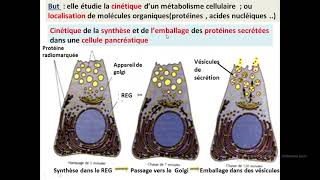 Cytologieبالعربية  2 Les méthodes détude de la cellule  Part 3 MEB  Les techniques [upl. by Ardnwahs]