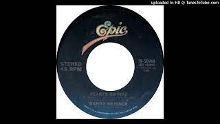 1981117  Randy Meisner  Hearts On Fire  45243 [upl. by Kired846]