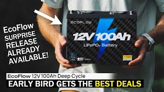 EcoFlow 12V 100Ah Battery  Full Review Plus Early Bird Discount Details [upl. by Cory372]