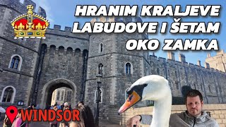 Hranim kraljeve labudove 🦢i šetam se oko Windsor zamka👑 [upl. by Onra]