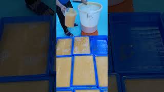 The turmeric and kojic acid soap mixture is poured into molds and left to cool and set [upl. by Crysta]