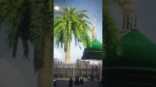 Sabse alave🥀 ola hamara Nabi🤲🌹 farazkhanofficial786🥀 foryou islam 🥀new reels trending🥀  viral [upl. by Ennyletak515]