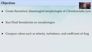 Rowen Luke Hydrodynamic purposes of the Chondrocladia Lyra’s skeletal structure [upl. by Bazar]