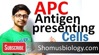 Antigen presenting cells APC [upl. by Neret682]