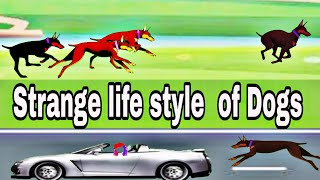 Life of Dogs  some facts about Dog  Rizwan Azeem Animations [upl. by Haraf]