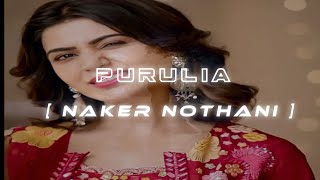 Naker Nothani  Purulia lofi song  use headphones for better experience [upl. by Niawtna933]