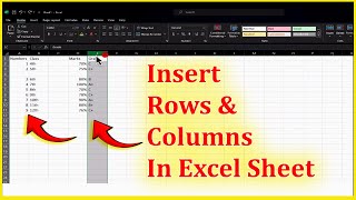 How to insert rows and columns in a excel sheet [upl. by Tanney848]