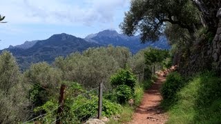 Wanderung Port de Sóller  Sóller [upl. by Durwin457]